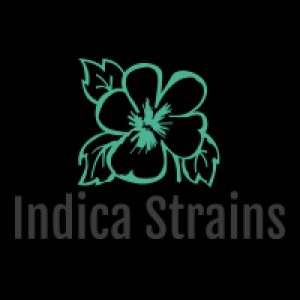 Indica flowers 2021